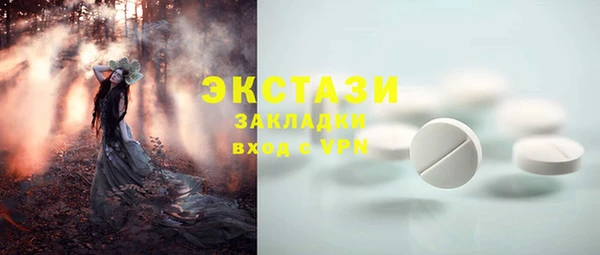 прущие грибы Каменка