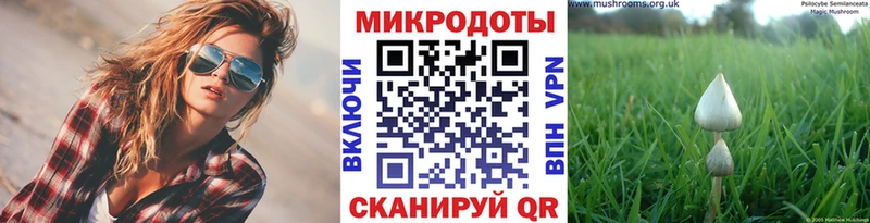 даркнет сайт  Красный Сулин  Галлюциногенные грибы GOLDEN TEACHER 